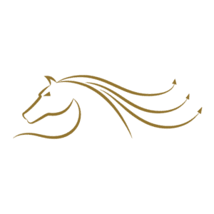 Pferd auf Wolke Icon